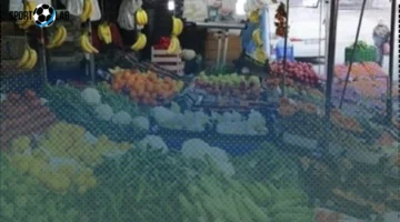 أسعار الخضروات في الدقهلية اليوم الثلاثاء: القلقاس بـ25 جنيهاً